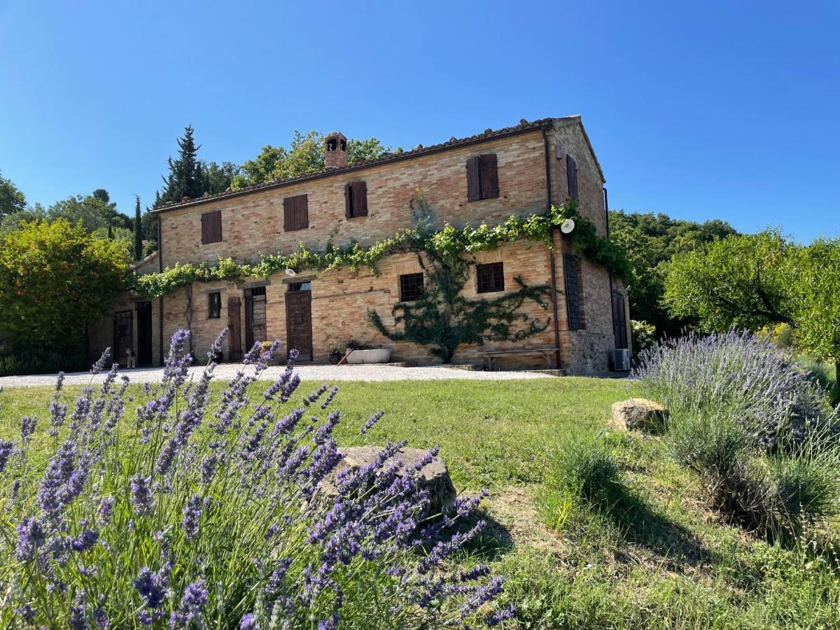 L'Infinito Bed & Breakfast Mombaroccio Eksteriør bilde