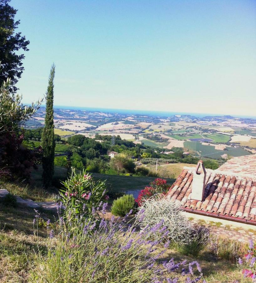 L'Infinito Bed & Breakfast Mombaroccio Eksteriør bilde