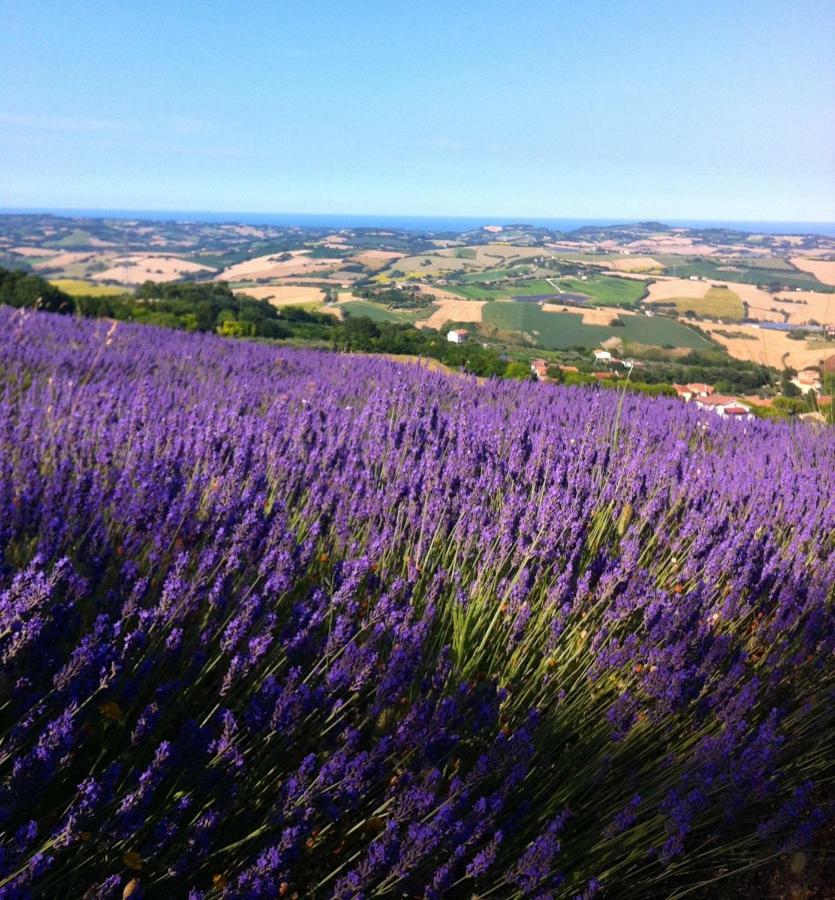 L'Infinito Bed & Breakfast Mombaroccio Eksteriør bilde