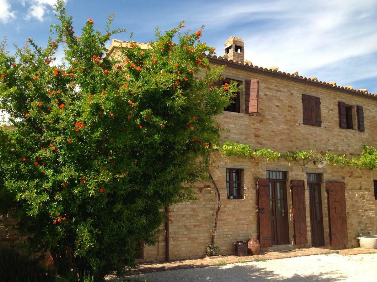 L'Infinito Bed & Breakfast Mombaroccio Eksteriør bilde